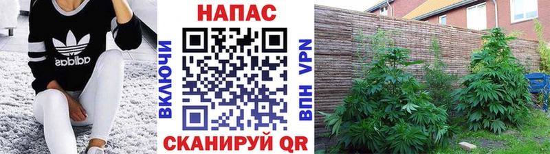 Канабис OG Kush  Купить закладки  Верхоянск 